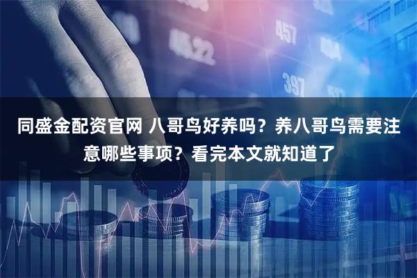 同盛金配资官网 八哥鸟好养吗？养八哥鸟需要注意哪些事项？看完本文就知道了