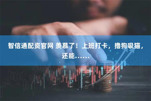 智信通配资官网 羡慕了！上班打卡，撸狗吸猫，还能……