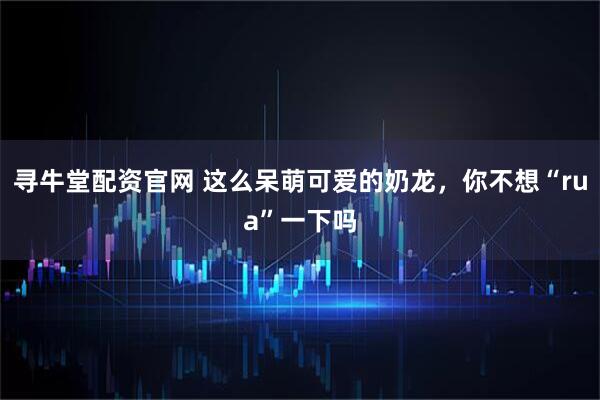 寻牛堂配资官网 这么呆萌可爱的奶龙，你不想“rua”一下吗