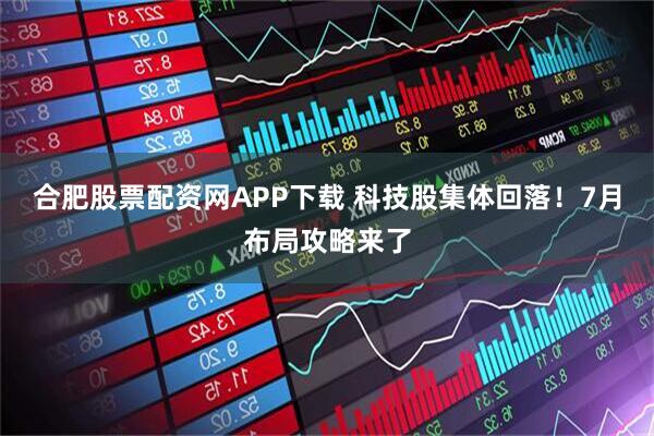 合肥股票配资网APP下载 科技股集体回落！7月布局攻略来了