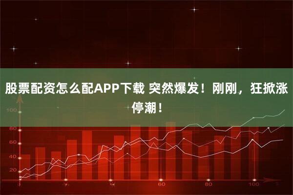 股票配资怎么配APP下载 突然爆发！刚刚，狂掀涨停潮！