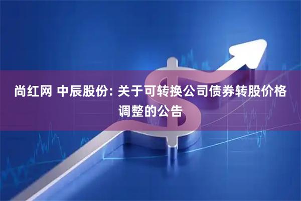 尚红网 中辰股份: 关于可转换公司债券转股价格调整的公告
