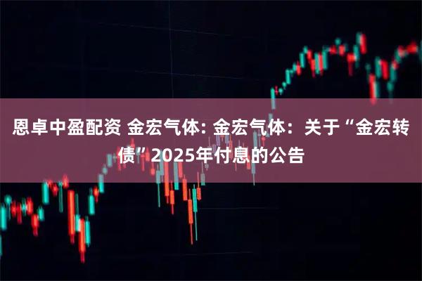 恩卓中盈配资 金宏气体: 金宏气体：关于“金宏转债”2025年付息的公告